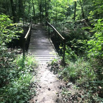 Logoly State Park - Parks Near Me Logoly State Park - Parks Near Me