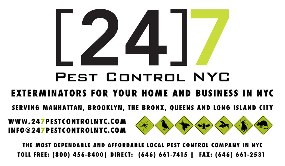 247 PEST CONTROL NYC Updated September 2024 1818 77th. St, Brooklyn