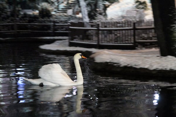 Kuğulu Park by null