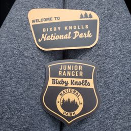 a pair of badges