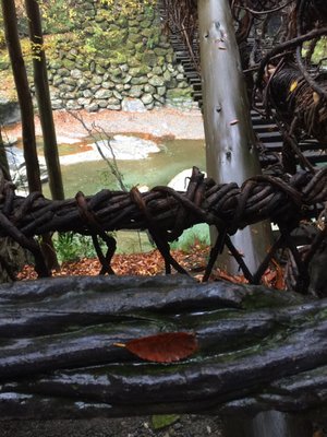 Iya Valley Bridge by null