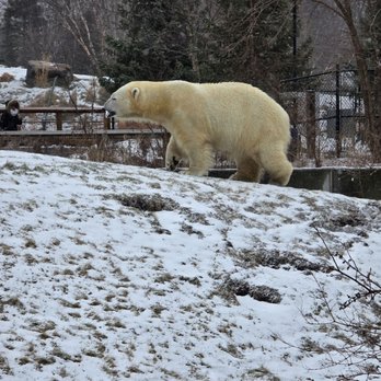 Toronto Zoo - Zoos Near Me - Toronto, Ontario