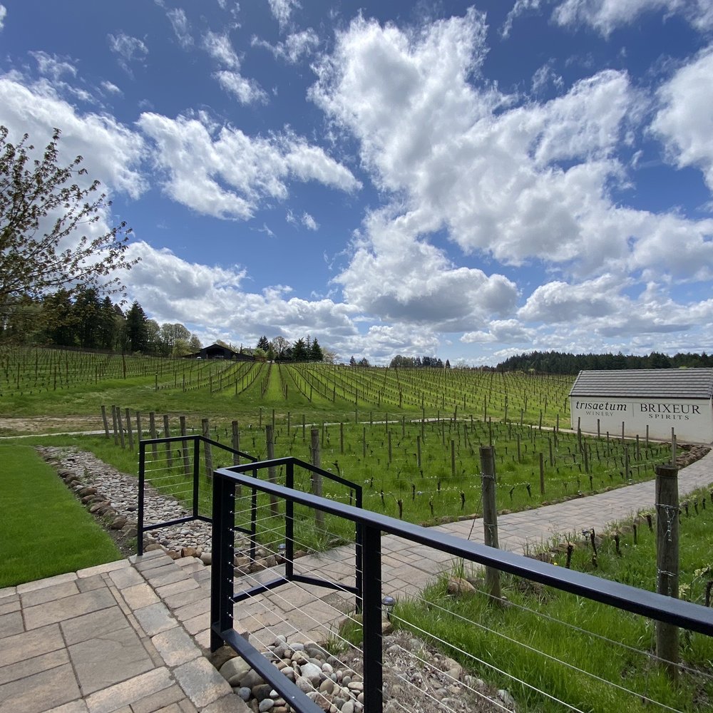 Trisaetum Winery - Wineries Near Me - Newberg, Oregon Trisaetum Winery - Wineries Near Me - Newberg, Oregon