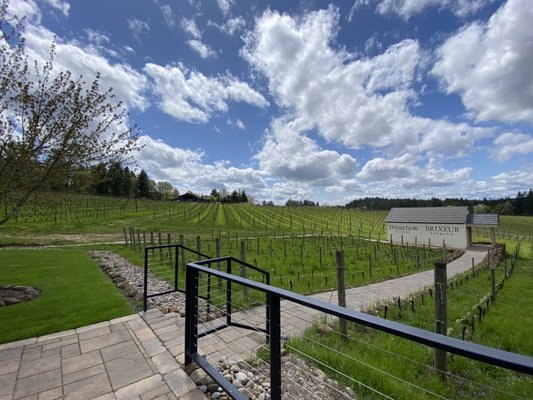 Trisaetum Winery by null