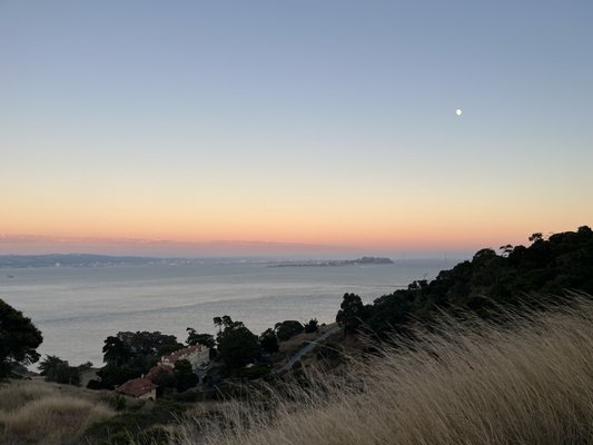 Angel Island by null