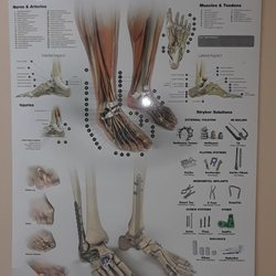 University of Miami - Very informative Foot & Ankle