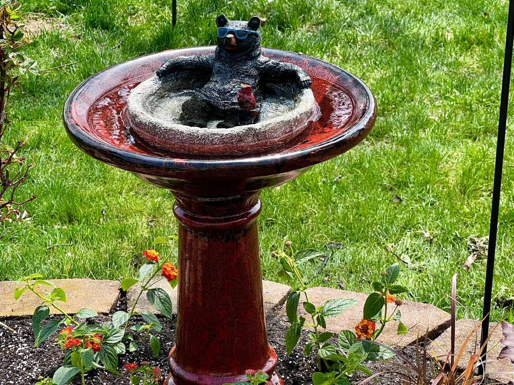 Cherry Street Market Logo