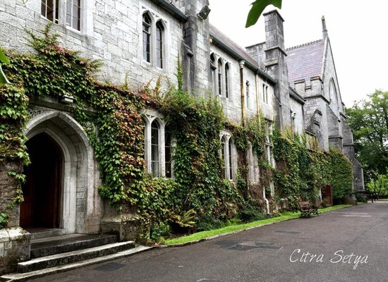 University College Cork by null