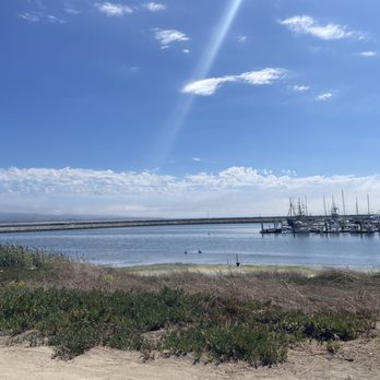 OceanCiders - View from the seating - Beer Bar Near Me - Half Moon Bay, California
