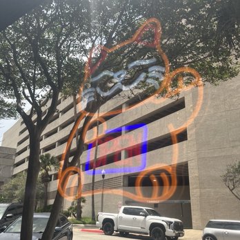 Dokyo Dauntaun - The cat on the window - Sushi Bars Near Me - Corpus Christi, Texas Dokyo Dauntaun - The cat on the window - Sushi Bars Near Me - Corpus Christi, Texas