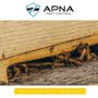 Photo of Apna Pest Control