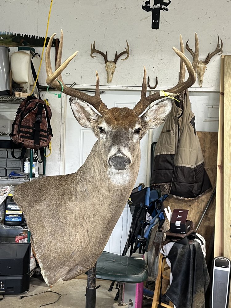 Ridge Runner Taxidermy - taxidermy in Glenwood, WV