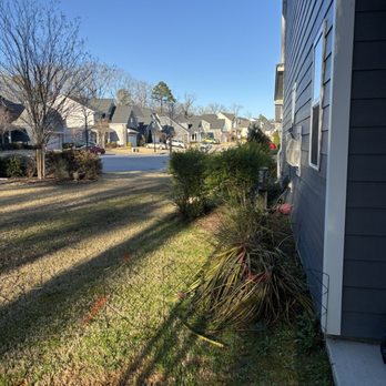 Progreen Landscape Solutions - Before the work began - Gardeners Near Me - Wake Forest, North Carolina Progreen Landscape Solutions - Before the work began - Gardeners Near Me - Wake Forest, North Carolina