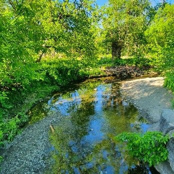 Rattray Marsh - Hiking Near Me - Mississauga, Ontario