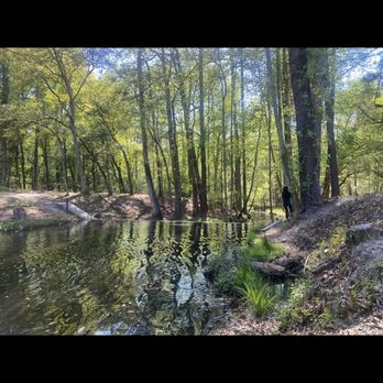 Sesquicentennial State Park - Water views - Parks Near Me - Columbia, South Carolina