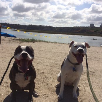 Lucky Pup Dog Training - Sky and sunny. - Pet Training Near Me