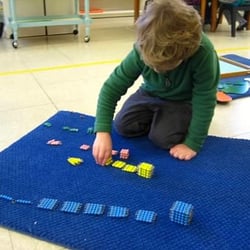 Wellesley Montessori School