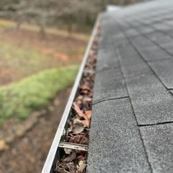 Gutter Rescue