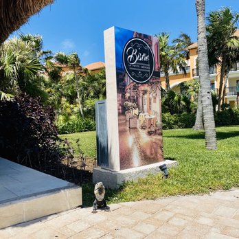 La Petite Crêperie - Outside with the iguana - Creperies Near Me - Puerto Morelos, ROO