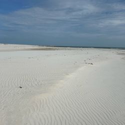 Orange Beach Fishing Park at the Pass - Sand