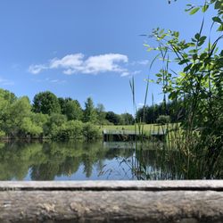 Thomas Heritage Park - The lake