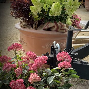 SARGENT’S FLORAL & GIFT - Updated February 2026 - 12 Photos & 15 ...