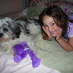 Blair Canine Care - puppy Gizmo and Amalia
