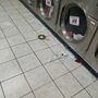 Photo of Laundry Express