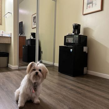 Edgewater Inn & Suites - My dog gives her seal of approval - Hotels Near Me - Pismo Beach, California Edgewater Inn & Suites - My dog gives her seal of approval - Hotels Near Me - Pismo Beach, California