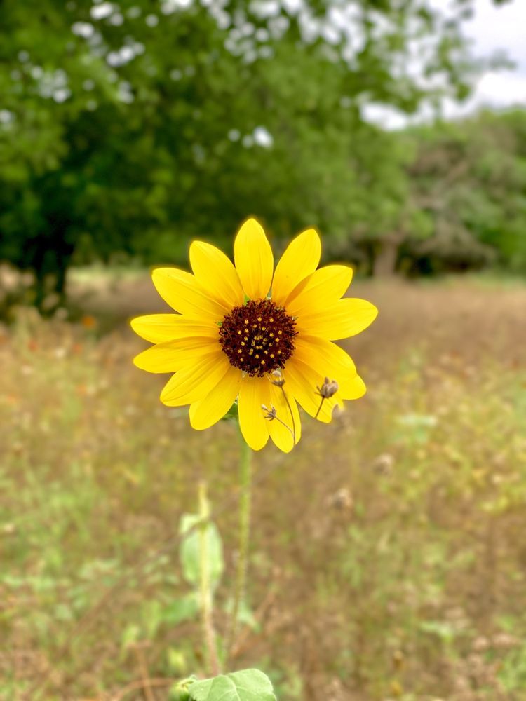 VALERO PARK TRAILHEAD 35 Photos & 11 Reviews 5902 N Loop 1604 W
