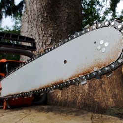 Big Ben's Tree Service