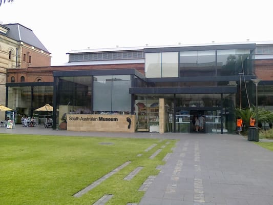 South Australian Museum by null