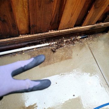 Chuck's Pressure Washing Services - Pressure Washers Near Me - Antioch, California