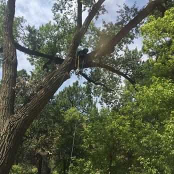 Very Good Tree Service - Tree Services Near Me
