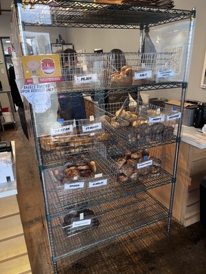 Starship Bagel by null