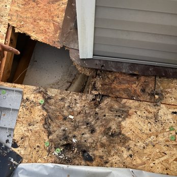 Empire Roofing & Solutions - Water damage from chimney are - Roofing Near Me - Fayetteville, North Carolina Empire Roofing & Solutions - Water damage from chimney are - Roofing Near Me - Fayetteville, North Carolina