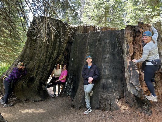 Kings Canyon National Park by null