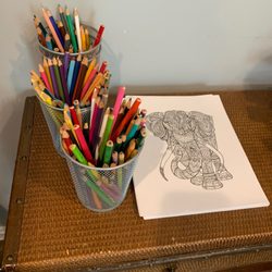 Camellia Women's Imaging - Adult coloring