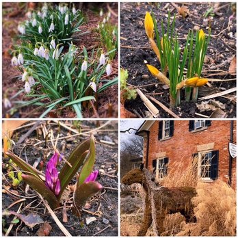 Riverdale Farm - Very early spring blooms. Toronto, April 3, 2022. - Zoos Near Me - Toronto, Ontario Riverdale Farm - Very early spring blooms. Toronto, April 3, 2022. - Zoos Near Me - Toronto, Ontario