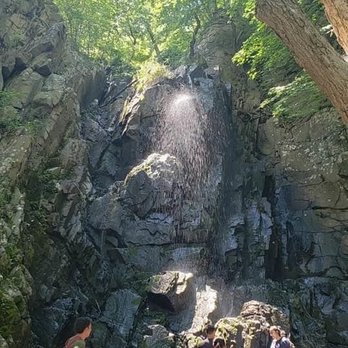 Palisades Interstate Park Commission - After walking down a ton of steps we came up to a waterfall.  This is the bottom/shoreline (not pictured) - Hiking Near Me - Alpine, New Jersey