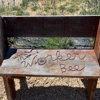 Bees N Blooms - Bench - Nurseries & Gardening Near Me - Santa Rosa, California Bees N Blooms - Bench - Nurseries & Gardening Near Me - Santa Rosa, California