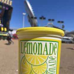 Delta Fair & Music Festival