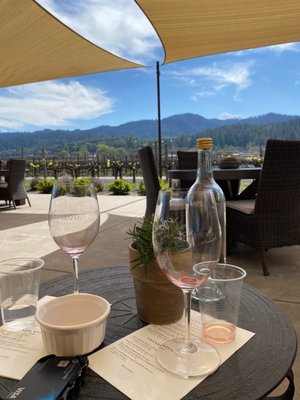 Benessere Vineyards by null