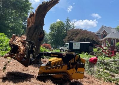 Tree Stump Removal - New Year New Trees - Contact us for all you tree pruning services and stump removal services Tree Stump Removal - New Year New Trees - Contact us for all you tree pruning services and stump removal services