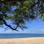 Palauea Beach/White Rock
