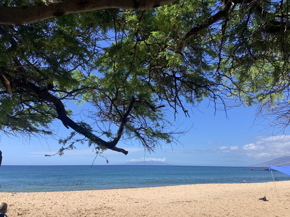 Palauea Beach/White Rock Logo