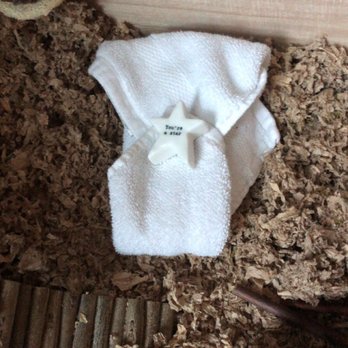 PetSmart - My Hamster wrapped up after he passed away - Pet Training Near Me - Lynnwood, Washington PetSmart - My Hamster wrapped up after he passed away - Pet Training Near Me - Lynnwood, Washington