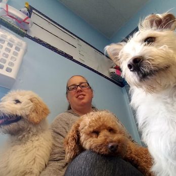 The Enrichment Center - Pet Training Near Me The Enrichment Center - Pet Training Near Me