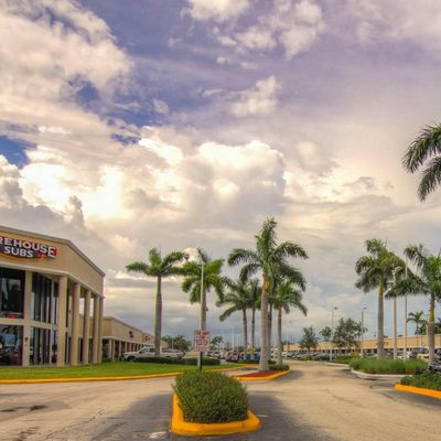 Tree of Life Enterprise Services