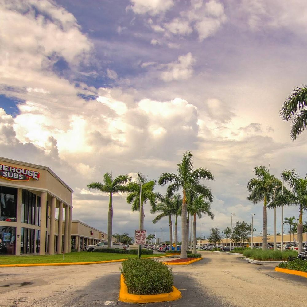 TREE OF LIFE ENTERPRISE SERVICES Handyman 4047 Okeechobee Blvd